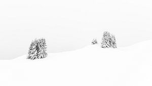 Winters landschap in de bergen van Lynxs Photography