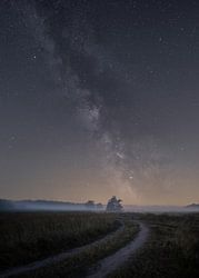 Melkweg op de Veluwe