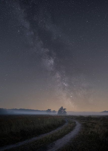 Milchstraße auf der Veluwe von Jeroen Linnenkamp