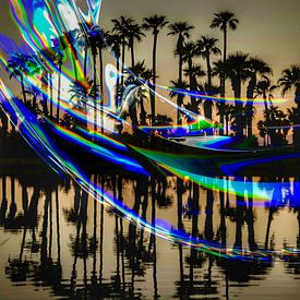 Palm Dreams by Truckpowerr