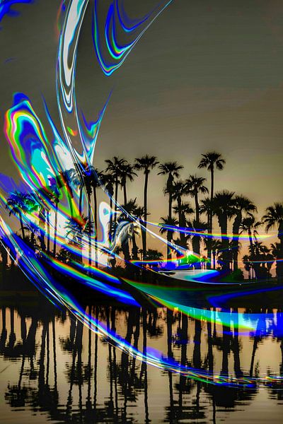 Palmen-Träume von Truckpowerr