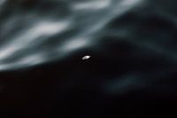 Feather in Water