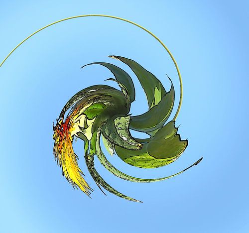 Spiral of sun and leaves.