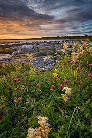 Warm summer night at Alnes by qtx