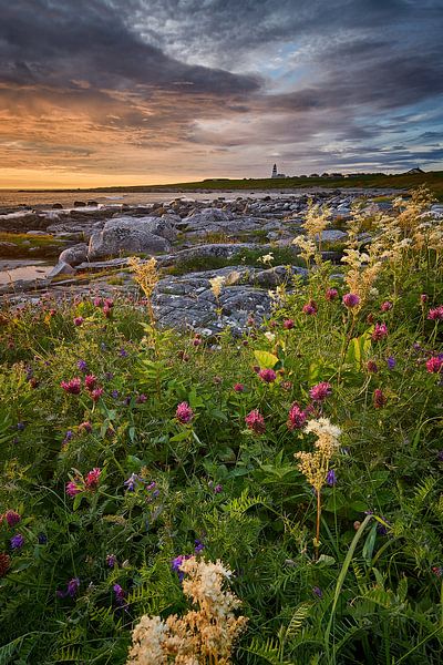 Warm summer night at Alnes by qtx