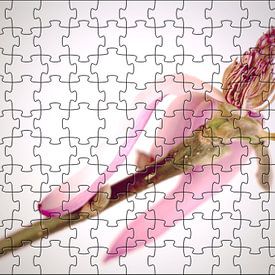 Blumen-Puzzle Magnolie von Ilo.Auge