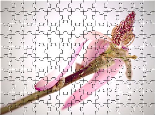 Blumen-Puzzle Magnolie