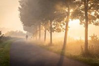 Cycliste dans le brouillard sur le chemin de halage le long du Leiein Lauwe - Menen, Belgique