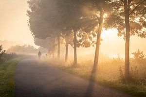 Fietser in de mist op het jaagpad langs de Leie in Lauwe - Menen, Belgie