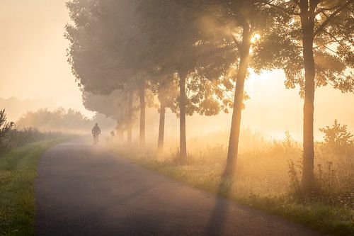 Fietser in de mist op het jaagpad langs de Leie in Lauwe - Menen, Belgie