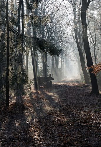 car in forest with sunbeams in winter landscape