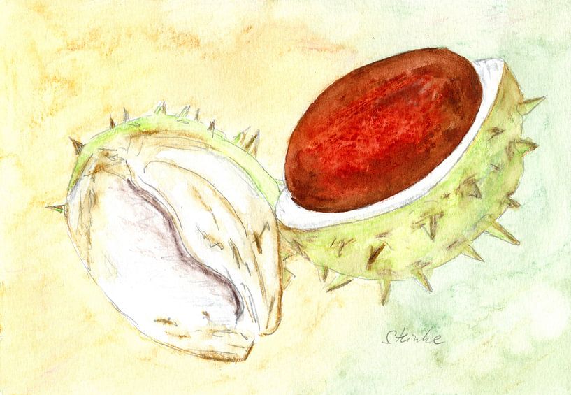 Chestnuts by Sandra Steinke