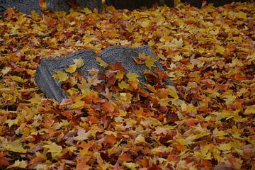 A cemetery in autumn by Claude Laprise