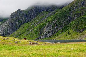 Herbes Land - Lofoten Norwegen