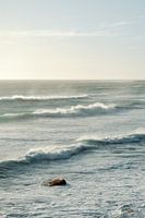Waves in Misty Cliffs, South Africa