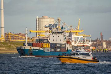 Containerschip en loods tender in de haven van IJmuiden. van scheepskijkerhavenfotografie