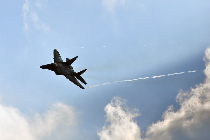 MiG-29 van Rogier Vermeulen