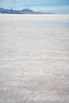 Bonneville zoutvlakte, Salt Lake City van Esther Eberwijn
