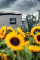 Van Gogh museum achter Zonnebloemenveld