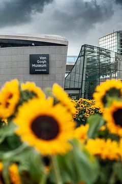 Van Gogh museum achter Zonnebloemenveld