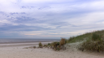 Dune sur la plage de Juist – Côte de la mer du Nord dans des tons pastel délicats