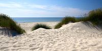 Mer du Nord - Sylt Chuchotements dans les dunes par Reiner Würz / RWFotoArt Aperçu