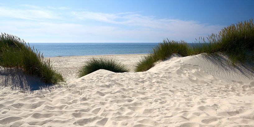 Mer du Nord - Sylt Chuchotements dans les dunes par Reiner Würz / RWFotoArt