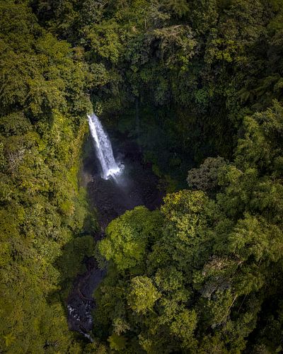 Verborgen Waterval in de Jungle van Bali
