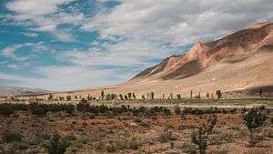 Morocco landscape 3
