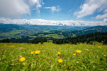Flowery view of the Oberallgäu and the low-lying clouds by Leo Schindzielorz