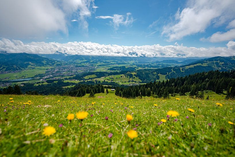 Flowery view of the Oberallgäu and the low-lying clouds by Leo Schindzielorz
