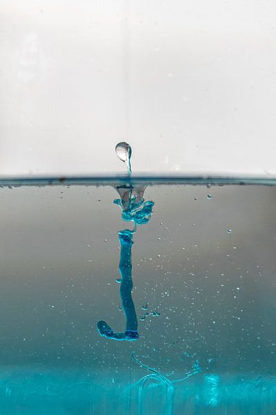 On the hook by Thomas Riess