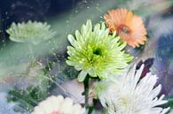 Najaarse bloemen / Astras van Marianna Pobedimova thumbnail
