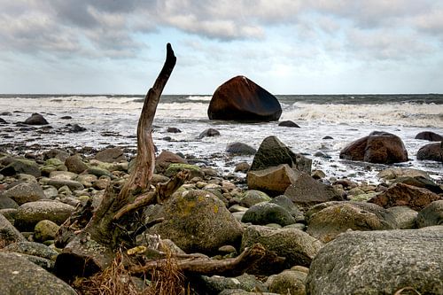 Een rots in de branding