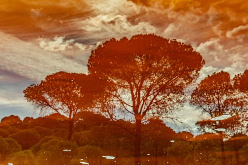 In vuur en vlam van Esther Bakker-van Aalderen