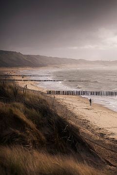 Windy Days (duinen Zoutelande) van Thom Brouwer