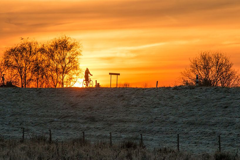 Fietsend op de dijk bij zonsopgang van Jonathan Vandevoorde