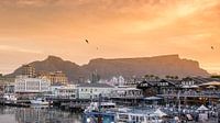 Oceanfront Cape Town by Alexander Schulz thumbnail