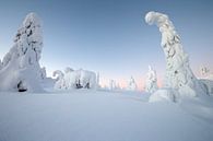 Winterwunderland von Menno Schaefer Miniaturansicht