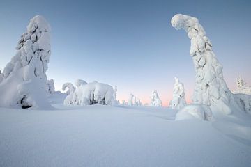 Winterwonderland van Menno Schaefer