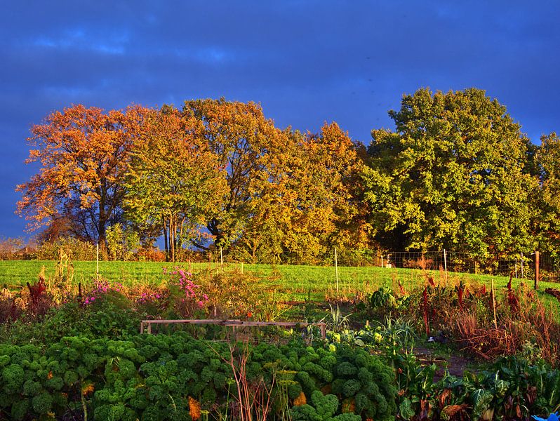 lumière automnale par Edgar Schermaul