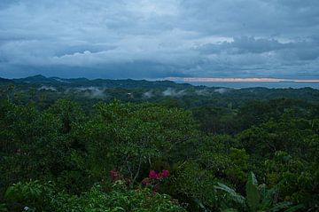 View of the rainforest and the Pacific Ocean from Ojochal in Costa Rica by Alexander Ließ