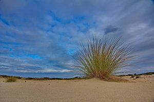 Duinlandschap