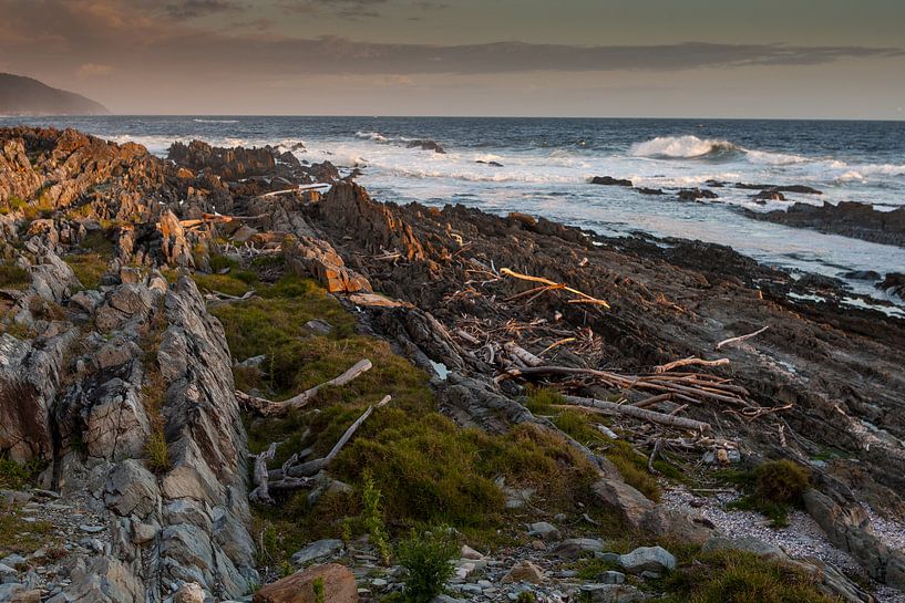 Sundowner at Tsitsikamma I van Guus Quaedvlieg