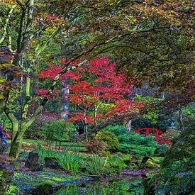 Herbstfarben im japanischen Garten (digitale Kunst) von Rini Braber