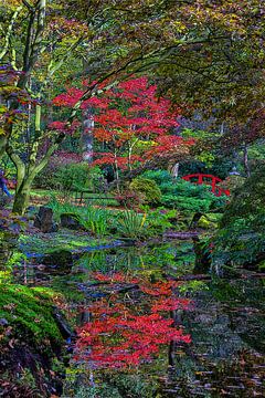Herfstkleuren in de Japanse Tuin (digital art) van Rini Braber
