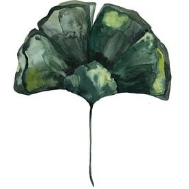 Botanical Illustration Ginko by Mantika Studio