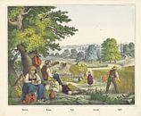 Raccolta. / Moisson. / Ernte. / Harvest. / Harvest, firm Joseph Scholz, 1829 - 1880 by Gave Meesters thumbnail
