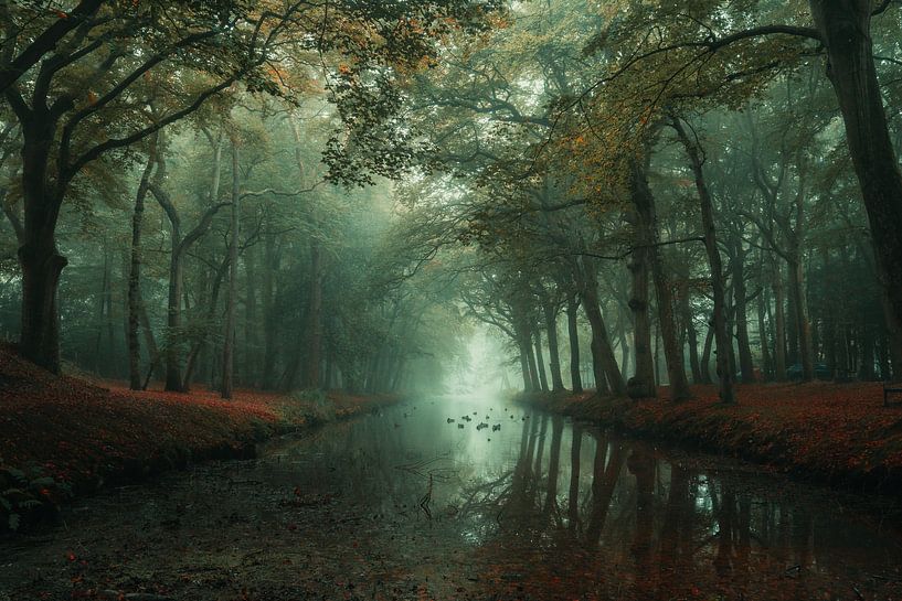 Herfst van Marco Knies