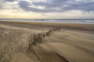 Wind, Meer und Sonne